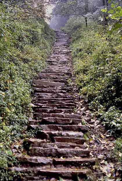 Santa Monica Stairs