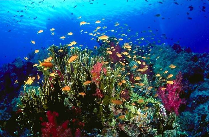 Great Barrier Reef