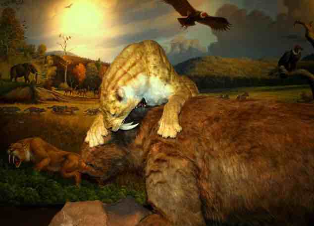 La Brea Tar Pits