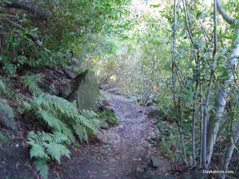 Best Hikes in LA