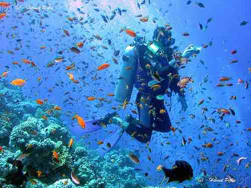 Best Scuba Diving Spots
