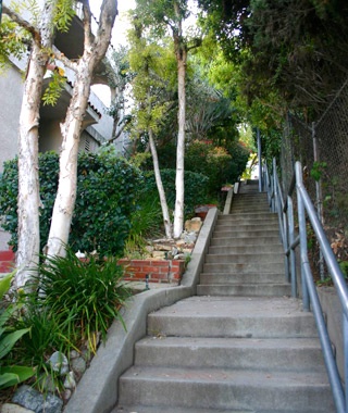Secret Stairs of Los Angeles